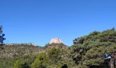 Trail Walking Plan-d'Aups-Sainte-Baume - plan d'aups ste baume - Photo 15