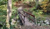 Tocht Stappen Ottignies-Louvain-la-Neuve - Promenade dans le Bois des Rêves et au Lac De Louvain-La-Neuve - Photo 9