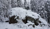 Tour Wandern Neuweiler - Natzwiller - cascade de la Serva - Champ du Feu - Photo 4