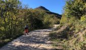 Trail Walking Rochechinard - Rochechinard la Ragnole les Berthonettes - Photo 5