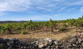 Excursión Senderismo Villeneuve-Minervois - virades 2024 - Photo 1