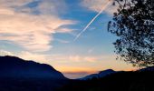 Trail Walking Le Revest-les-Eaux - Boucle Ripelle - Mont Combes - Tourris - Ripelle - Photo 1