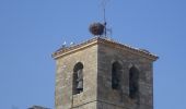 Tour Wandern Itero de la Vega - CC_Frances_CC_15_Itero-Vega_Villalcazar-Sirga_20110706 - Photo 2