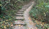 Randonnée Marche Bassenge - Eben emael et montagne st Pierre  - Photo 4