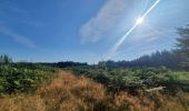 Tocht Stappen Bertrix - rando  auby sur semois 2-09-2022 - Photo 20