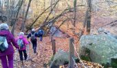 Tocht Stappen Cernay-la-Ville - Les Vaux de Cernay - Photo 9