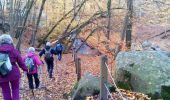 Randonnée Marche Cernay-la-Ville - Les Vaux de Cernay - Photo 9