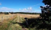 Tocht Mountainbike Saint-Anthème - Descente barracuchet Montbrison - Photo 1