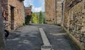 Tour Wandern Viens - Le Cirque des Barriès, Ocres et fossiles - Photo 7