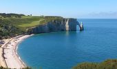 Randonnée Marche Étretat - Etretat Antifer - Photo 3