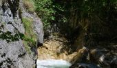 Tocht Te voet Wörschach - Wörschachklamm - Ruine Rundweg - Photo 8