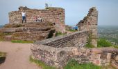 Tour Wandern Zabern - Saverne et ses châteaux  - Photo 9