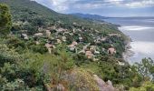 Trail Walking Le Pradet - Les forts de la Colle Noire, 16-05-2025 - Photo 2