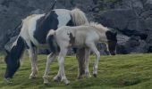 Tocht Stappen Itxassou - Mondarrain Gorospil en boucle retour par GR10 - Photo 2