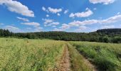 Excursión Senderismo Houyet - Celles Hulsonniaux La Lesse - Photo 13