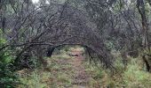 Excursión Senderismo Le Cannet-des-Maures - Autour de 