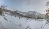 Randonnée A pied Castellarano - Croce di San Valentino - Montebabbio - Telarolo - Monte Maestà Bianca - Photo 5