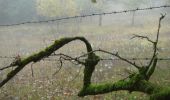 Tour Wandern Figeac - CC_Velay_CC_12_Figeac_Cajarc_20071103 - Photo 2