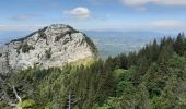 Tocht Stappen Fillière - GLIERES / BORNES: SOUS DINE AU DEPART DE LES CHENEVIERS...  - Photo 6