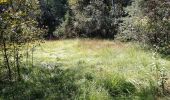 Tour Wandern Philippsburg - Étang de Hanau / Circuit de découverte  - Photo 20