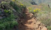 Excursión Senderismo Ingenio - Barranco de Guayadeque (Gran Canaria) - Photo 13