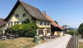 Tour Zu Fuß Stallikon - Näferhüser - Müliberg - Photo 3