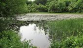 Percorso A piedi Sconosciuto - Castlewellan Forest Park - Cypress Pond Walk - Photo 7