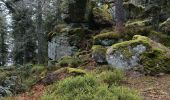 Trail Walking Aubure - Aubure rocher du tétras  - Photo 6