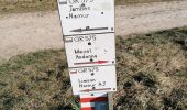 Percorso Marcia Assesse - Sart Bernard - Andenne Rando 18 - Photo 7