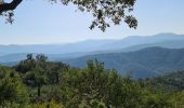 Tocht Stappen Sainte-Maxime - Vers Peigros - Photo 13