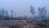 Trail Walking Spa - petit tour de la fagne - berinzenne - Photo 15