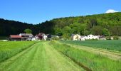 Tocht Te voet Kipfenberg - Rundwanderweg Kipfenberg 15 - Photo 7