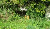 Trail Walking Reugny - Reugny - Vignes et Brenne - Photo 6