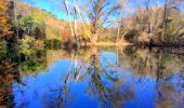 Tour Wandern Brue-Auriac - Trace_Brue-Auriac - Photo 13