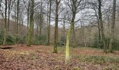 Tour Wandern Vuren - 80.241 Teuven - St.Martens Voeren - Photo 12