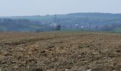 Trail Walking Walcourt - Yves Gomezee 060323 - Photo 9