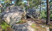 Randonnée Marche Fontainebleau - Fontainebleau sentier Denecourt 10 - Photo 13