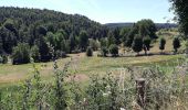 Tour Wandern Peyre en Aubrac - BOUCLE AU DEPART DE FAU DE PEYRE - Photo 19