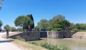 Tour Wandern Bize-Minervois - CC_Piemont_AC_03_Bize-Minervois_Homps_20240613 - Photo 6