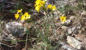 Tocht Stappen Nîmes - Clos Gaillard  - Photo 16