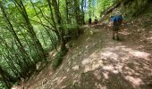 Trail Walking Dourbies - Dourbies -Meyruis 23 km - deuxième étape tour du mont Aigual - Photo 10