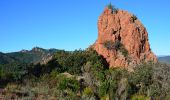 Excursión Senderismo Théoule-sur-Mer - Théoule - Pont Sarrazin - Mont Saint Martin - Sommet Grosses Grues - Col Notre Dame - Photo 6