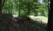 Tour Wandern Couvin - Dailly 17 km - Photo 11
