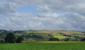 Trail Walking Beauraing - rando sevry  26/08/2021 - Photo 4