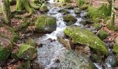 Trail Walking Lepuix - Ballon d'Alsace - cascade et lac d'Alfeld - Photo 10