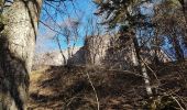 Trail Walking Ammerschwihr - Trois-Epis - château du Petit Hohnack - Photo 4