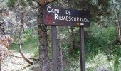 Tour Wandern Unknown - 11133234-chemin du coq_jul-2017_openrunner - Photo 15