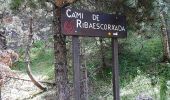 Excursión Senderismo Unknown - 11133234-chemin du coq_jul-2017_openrunner - Photo 15