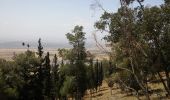 Excursión A pie Afula - נוף גבעת המורה - Photo 3