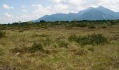 Tour Zu Fuß Grassau - SalzAlpenTour - Über die Grassauer Almen - Photo 1